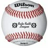 WILSON SPORTING GOODS Wilson A1082BSST SST Babe Ruth Baseball (Dozen)