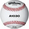 WILSON SPORTING GOODS Wilson A1030B High School Practice Baseball Raised Seams (Dozen)