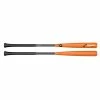 DeMarini Fungodelic Pro Maple Composite Fungo Bat: WTDXFUNDE1835