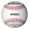 WILSON SPORTING GOODS Wilson A1001BFS Collegiate Baseball (Dozen): WTA1001BFS