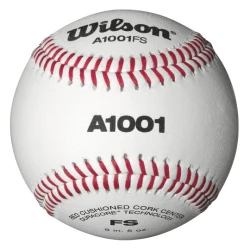 WILSON SPORTING GOODS Wilson A1001BFS Collegiate Baseball (Dozen): WTA1001BFS