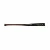Easton North American Maple 271 Wood Baseball Bat
