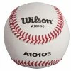 WILSON SPORTING GOODS Wilson A1010S Blem College-High School Practice Baseball (Dozen)