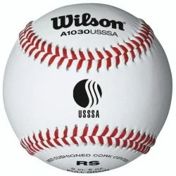 WILSON SPORTING GOODS Wilson A1030BUSSSA Official League Baseball (Dozen)