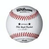 WILSON SPORTING GOODS Wilson A1062BDY1 Dixie Youth Baseball (Dozen)