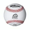 WILSON SPORTING GOODS Wilson A1075BPL1 Pony Baseball (Dozen)